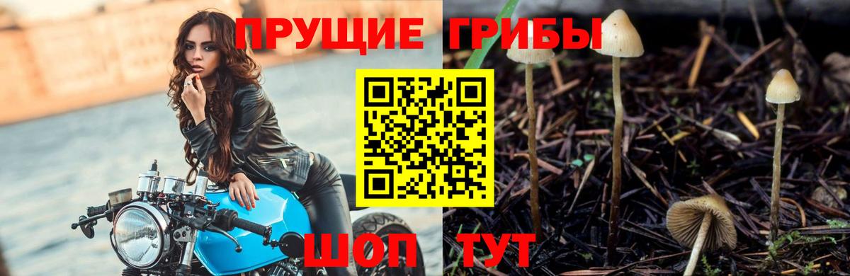 Галлюциногенные грибы прущие грибы Полысаево